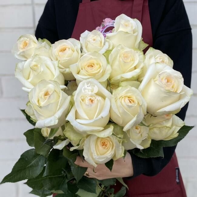 Роза &laquo;Кендилайт&raquo;