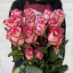 Роза &laquo;Карусель&raquo;