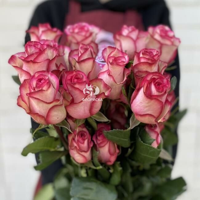 Роза &laquo;Карусель&raquo;