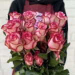 Роза &laquo;Карусель&raquo;