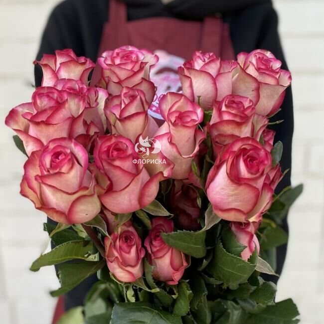 Роза &laquo;Карусель&raquo;