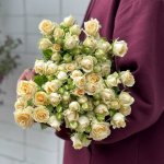 Кустовая роза &laquo;Сеньерита&raquo;