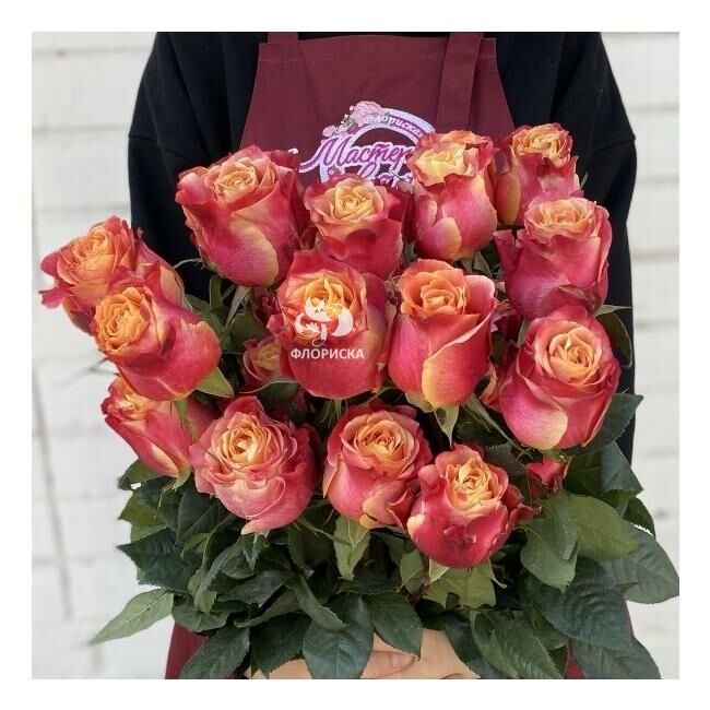 Роза &laquo;Атомик&raquo;