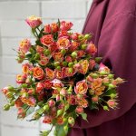 Кустовая роза &laquo;Фаер Флеш&raquo;