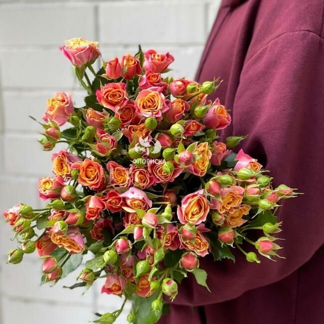 Кустовая роза &laquo;Фаер Флеш&raquo;