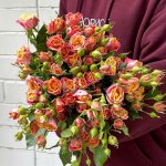 Кустовая роза &laquo;Фаер Флеш&raquo;