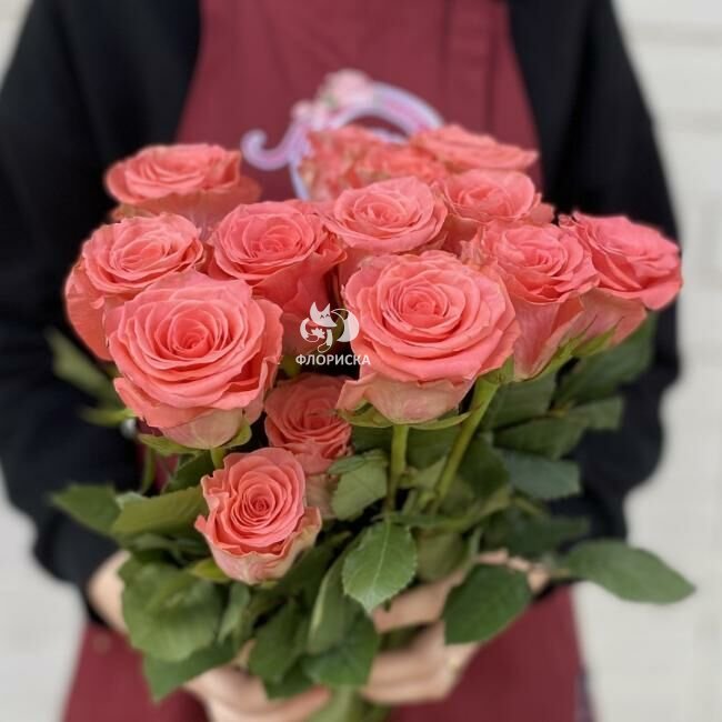 Роза &laquo;Амстердам&raquo;