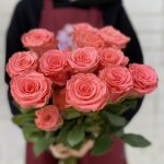 Роза &laquo;Амстердам&raquo;