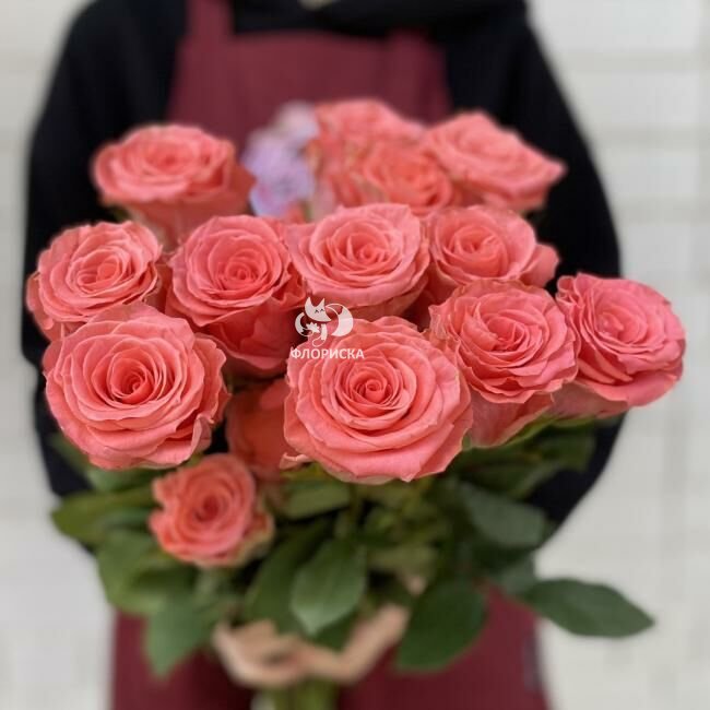 Роза &laquo;Амстердам&raquo;