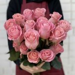 Роза &laquo;Хермоса&raquo;