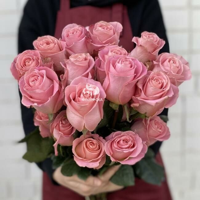 Роза &laquo;Хермоса&raquo;