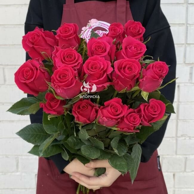 Роза &laquo;Готча&raquo;