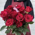 Роза &laquo;Ред пантер&raquo;