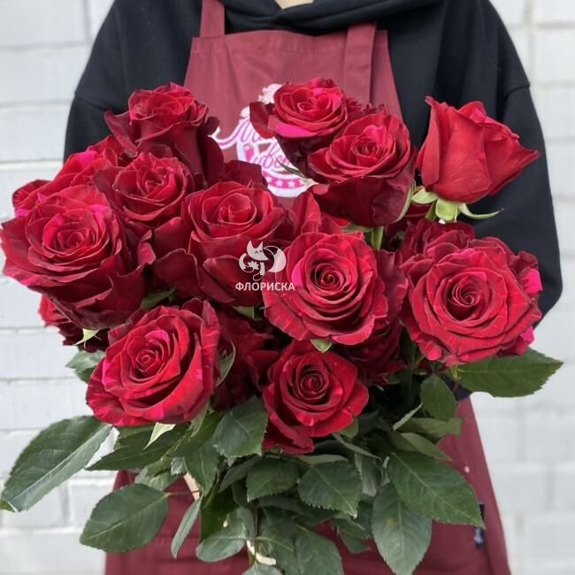 Роза &laquo;Ред пантер&raquo;