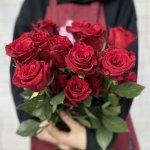 Роза &laquo;Ред пантер&raquo;