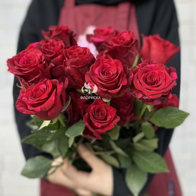 Роза &laquo;Ред пантер&raquo;