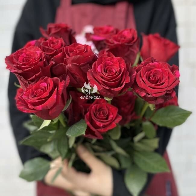 Роза &laquo;Ред пантер&raquo;