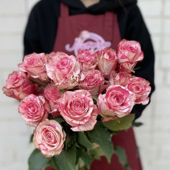 Роза &laquo;Меджик Тайм&raquo;