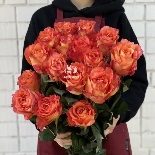 Роза &laquo;Оранжевая&raquo;