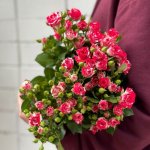 Кустовая роза &laquo;Фаерворк&raquo;