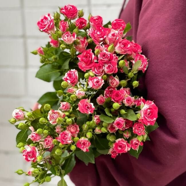 Кустовая роза &laquo;Фаерворк&raquo;