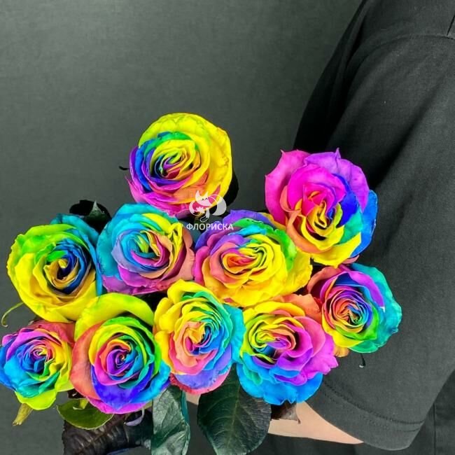 Роза &laquo;Радужная&raquo;