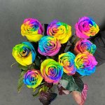 Роза &laquo;Радужная&raquo;