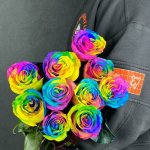 Роза &laquo;Радужная&raquo;