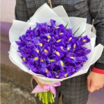 Букет из ирисов &laquo;Мальта&raquo;