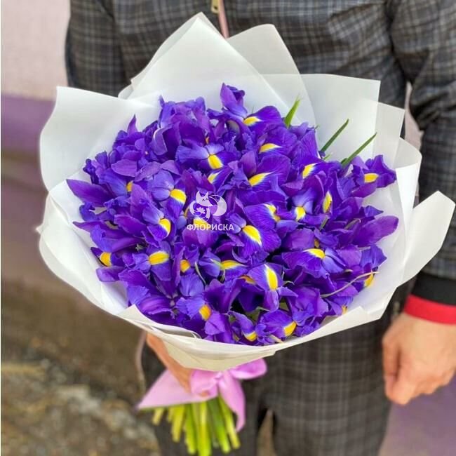 Букет из ирисов &laquo;Мальта&raquo;
