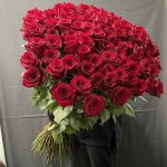 101 метрвая роза &laquo;Люкс&raquo; 