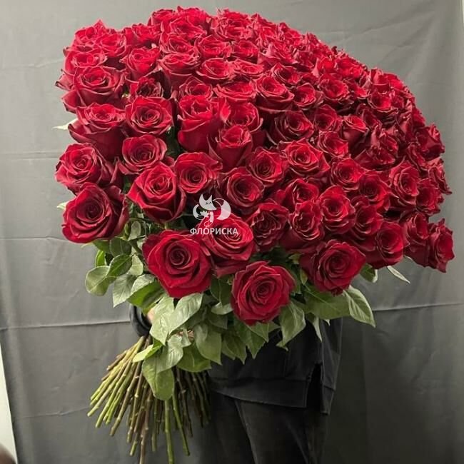 101 метрвая роза &laquo;Люкс&raquo; 