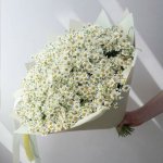 Букет из 51 ромашки &laquo;Ромашковое поле&raquo;