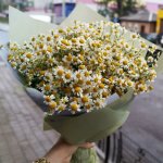 Букет с ромашками &laquo;Облако чувств&raquo;