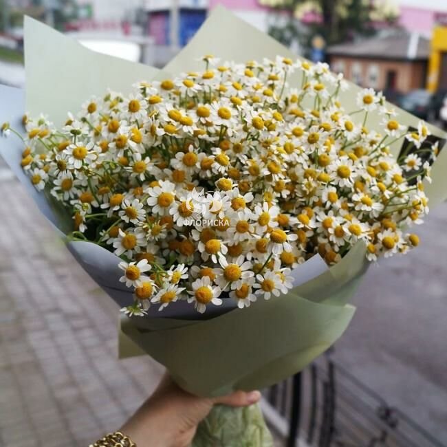 Букет с ромашками &laquo;Облако чувств&raquo;