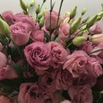 Эустома &laquo;Розовая&raquo;