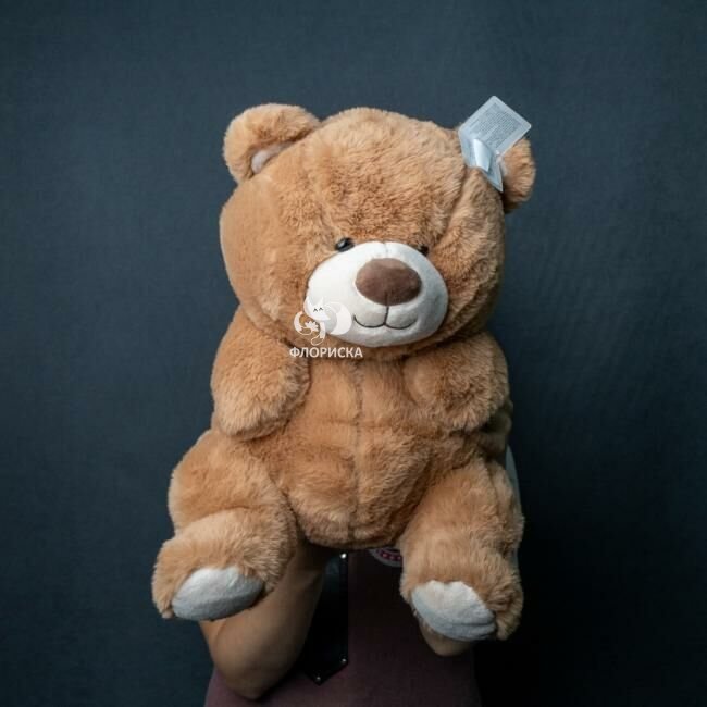 Мягкая игрушка мишка &laquo;Тедди&raquo;