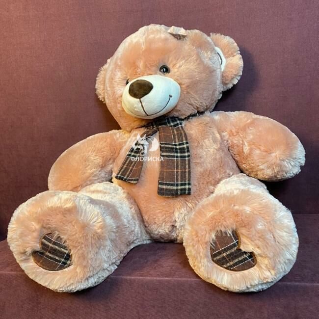 Мягкая игрушка мишка &laquo;Томик&raquo;