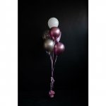 Воздушные шары &laquo;Зефир&raquo;