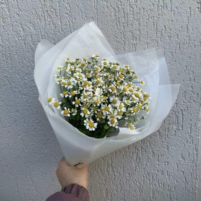 Букет с ромашками &laquo;Первое солнце&raquo;