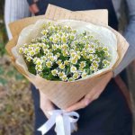 Букет с ромашками &laquo;Лучик солнца&raquo;