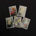 Открытка &laquo;Восхищение!&raquo;